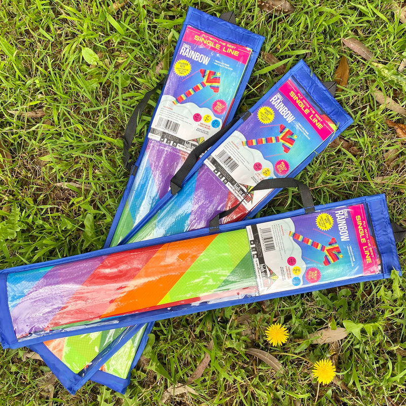 Rainbow Kite in storage bag, full length