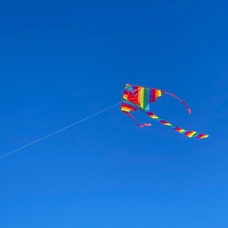 Rainbow Kite flying