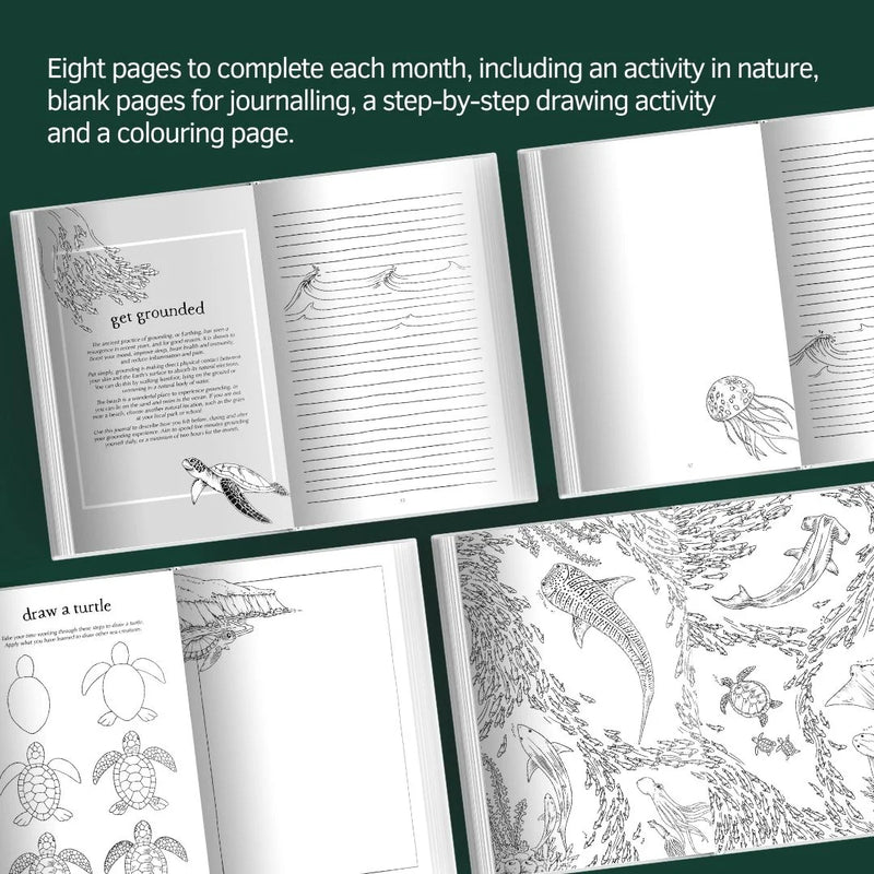 A Wild Year Nature Journal, more internals spreads