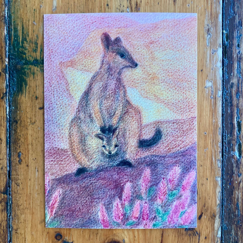 Spring Rock Wallaby - Australian Seasonal Postcard by Bronte Doery