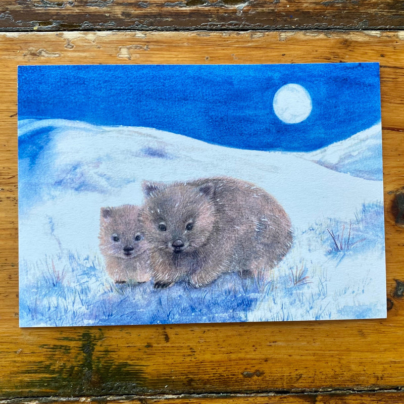 Winter Wombats - Australian Seasonal Postcard by Bronte Doery