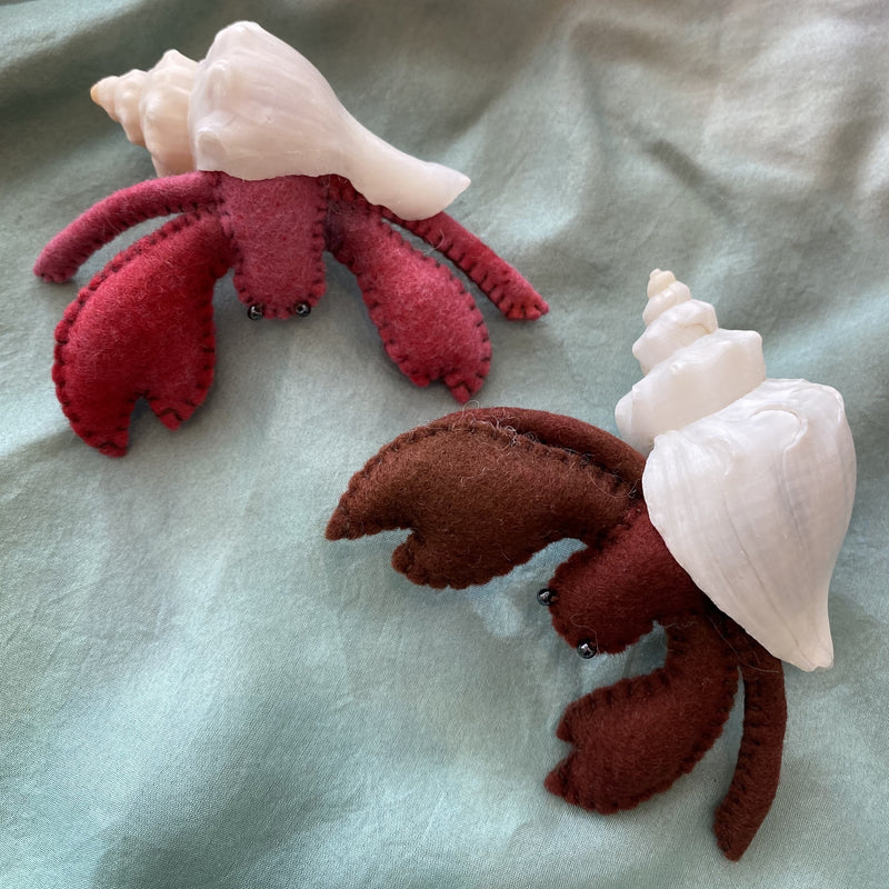Hermit Crab, Hand Dyed Felt with Shell