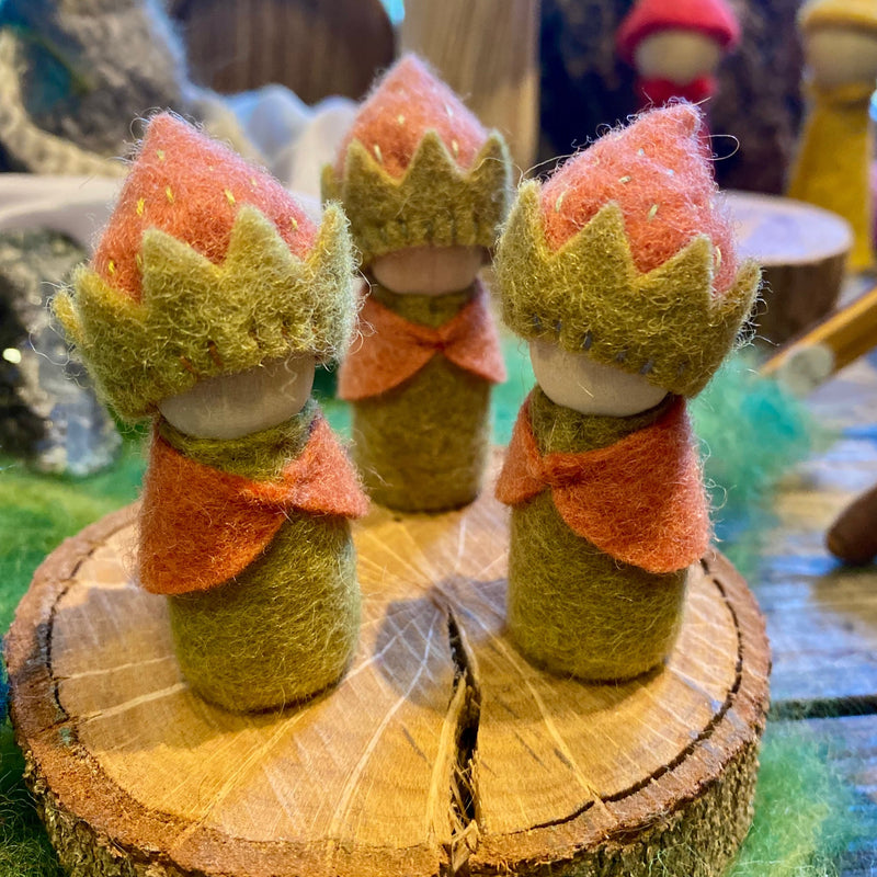 Strawberry Baby Gnome