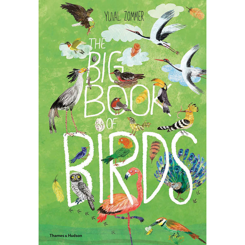 The Big Book of Birds by Yuval Zommer